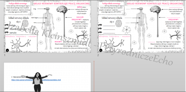 Minizestaw na temat „Układ nerwowy kontroluje pracę organizmu” – sketchnotka + karta pracy w power point + gratisowy link do prezentacji multimedialnej niekomercyjnej wykonanej w genial.ly do indywidualnego pobrania i użycia do celów niekomercyjnych. Prz
