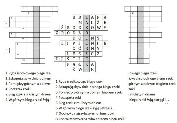 Logogryf dla klasy 4 na podsumowanie lekcji przyrody o rzece