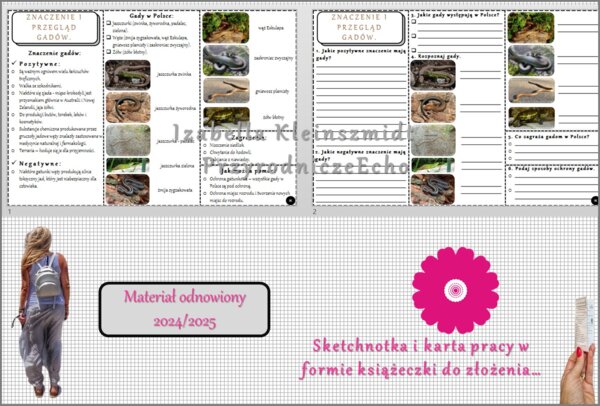 Minizestaw do tematu „Przegląd i znaczenie gadów” – sketchnotka + karta pracy w pdf + gratisowy link do prezentacji multimedialnej niekomercyjnej wykonanej w genial.ly do indywidualnego pobrania i użycia do celów niekomercyjnych. Biologia 6, Dział „Kręgo