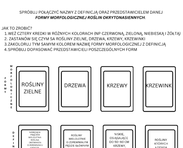 Formy morfologiczne roślin okrytonasiennych