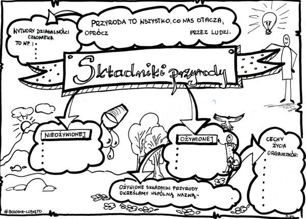 Klasa 4. Przyroda. Karta pracy. Składniki przyrody