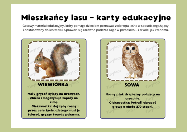 Mieszkańcy lasu – karty edukacyjne| Międzynarodowy Dzień Lasu