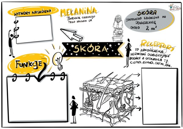 Klasa 7 Skóra. Karta pracy.