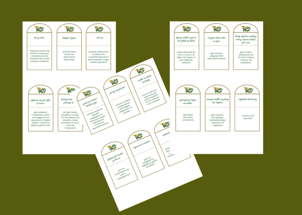 DZIEŃ PTAKÓW – wiosna - frazeologizmy – ZWIĄZKI FRAZEOLOGICZNE - fiszki – 30 szt. kl. 4-8 – egzamin – powtórzenie- ćwiczenia – frazeologizmy