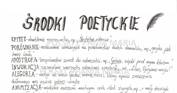 rysnotka "ŚRODKI POETYCKIE"