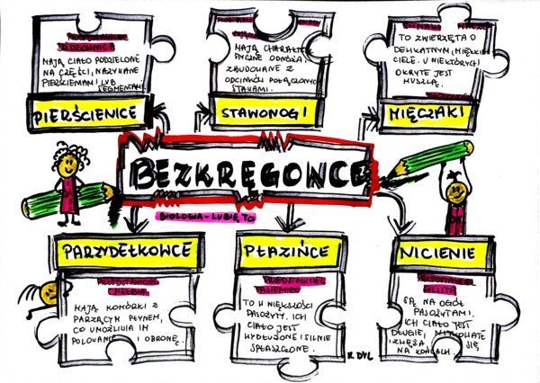 Klasa 6. Biologia. Bezkręgowce (karta pracy kolorowa)