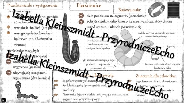Sketchnotka - notatka „Pierścienice – zwierzęta, które mają segmentowane ciało” wykonana w power point do edycji. Biologia 6; „Od parzydełkowców do pierścienic”