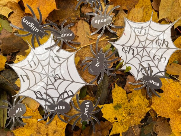 Ortografia "ch"/"h" pająki - Halloween