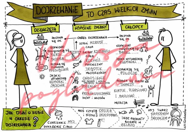 Dojrzewanie to czas wielkich zmian - przyroda kl 4 - wypełniona karta pracy