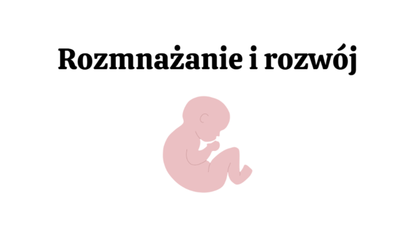 Rozmnażanie i rozwój 3 KLASA ROZSZERZENIE
