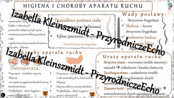 Sketchnotka - notatka „Higiena i choroby aparatu ruchu” wykonana w power point do edycji. Biologia 7; „Aparat ruchu”