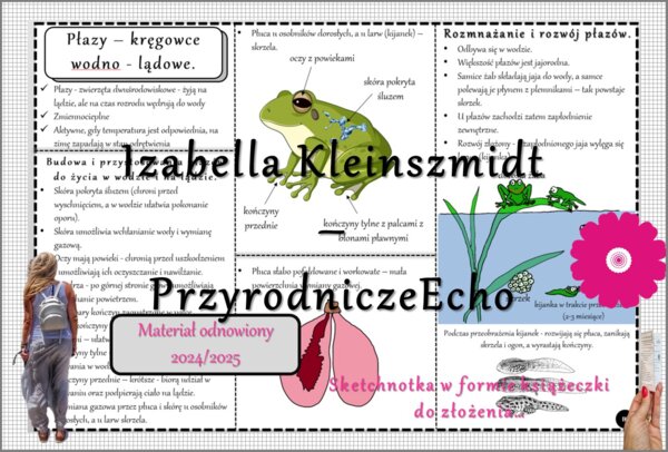 Sketchnotka/książeczka/notatka/wklejka/ściąga dla ucznia i przypomnienie dla nauczyciela/edukacja domowa. Temat „Płazy - kręgowce środowiska wodno-lądowego”. Materiał w pdf. Biologia 6, dział „Kręgowce zmiennocieplne”. Nowość 2024/2025.