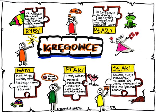 Klasa 6. Biologia. Kręgowce (karta pracy kolorowa)