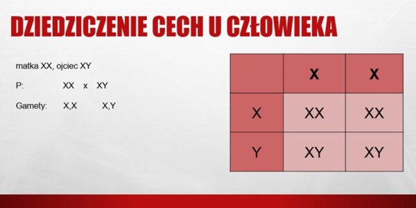 Dziedziczenie płci u człowieka