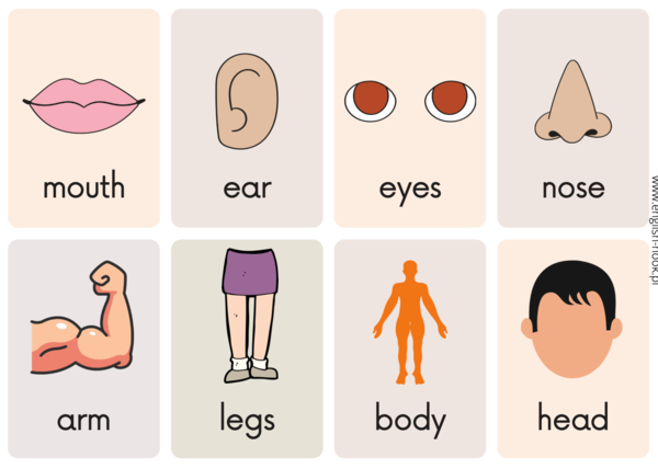 Angielski. Body Parts - What is missing?
