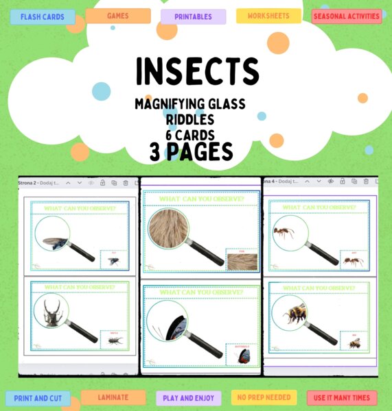 Insects through the magnifying glass 6 cards Insekty/ owady w lupce powiększającej. Zgadywanka. Usprawnianie logicznego myślenia i spostrzegawczości.