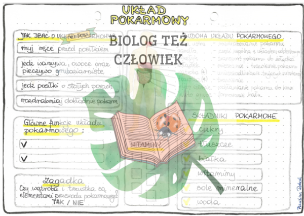 PRZYRODA - Ciało człowieka - Układ pokarmowy - kolor
