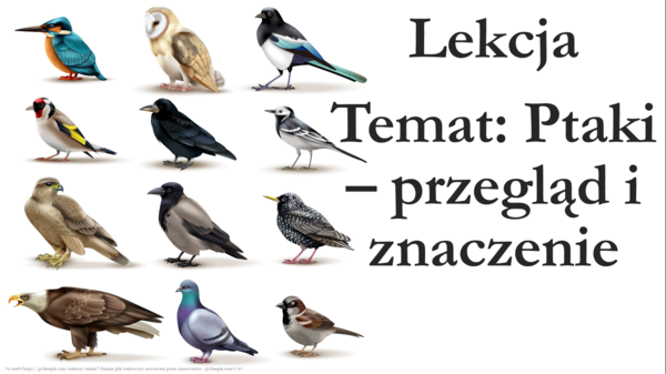 Klasa 6 - Ptaki - przegląd i znaczenie - prezentacja