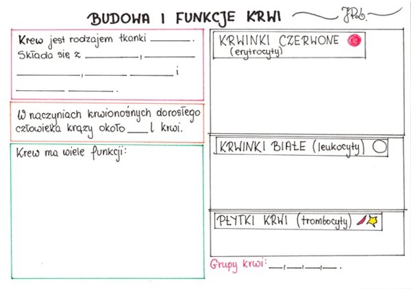 Budowa i funkcje krwi (karta pracy)