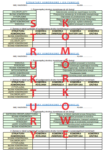 STRUKTURY KOMÓRKOWE - FUNKCJE + BUDOWA KOMÓREK (KARTKÓWKA)