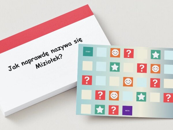 Gra planszowa „Dzień z życia Miziołka”