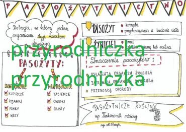 Pasożytnictwo 2 karty