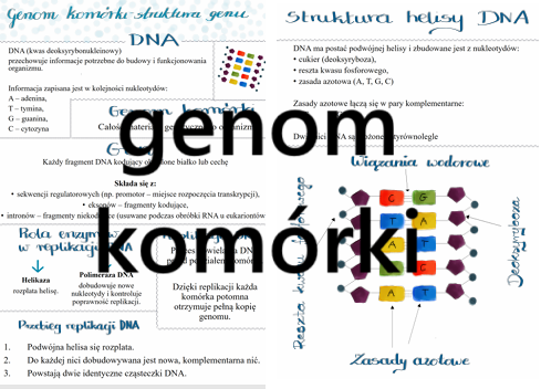 Genom komórki i struktura genu
