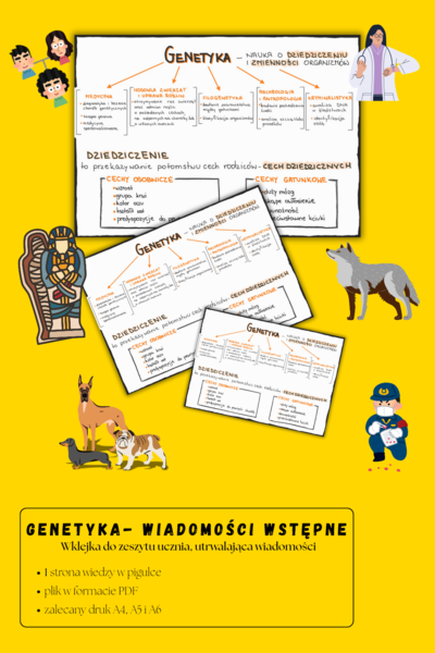 Genetyka - wprowadzenie – sketchnotka – wklejka | Biologia | klasa 8