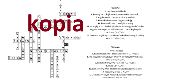 Wyższe kwasy karboksylowe