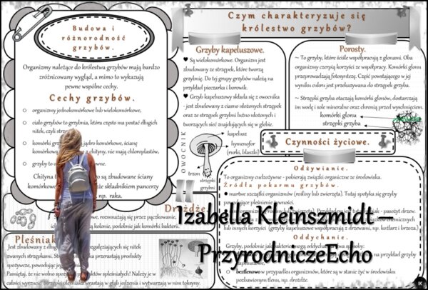 Sketchnotka/notatka/streszczenie/wklejka/ściąga dla ucznia i nauczyciela. Temat „Czym charakteryzuje się królestwo grzybów?” w pdf. Biologia 5 dział „Klasyfikacja i systematyka. Wirusy. Bakterie. Prostisty. Grzyby.”. Wykonana na podstawie podręcznika z w