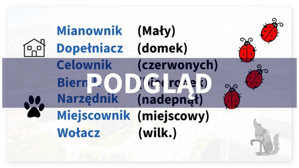 Deklinacja - plansza/wklejka