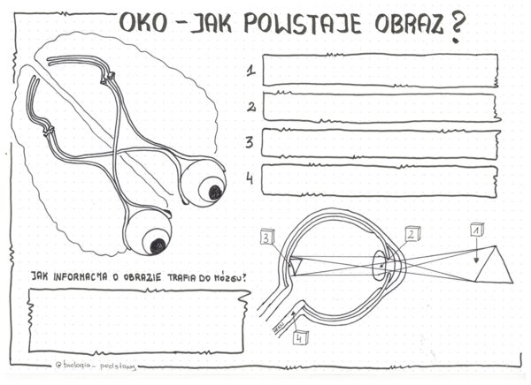 Oko - czyli jak powstaje obraz - klasa 7 - kp do uzupełnienia