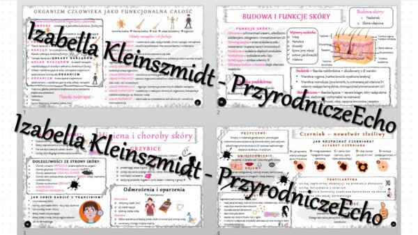 Zestaw sketchnotek – notatek do całego działu „Organizm człowieka. Skóra” wykonanych w power point do edycji. Biologia 7