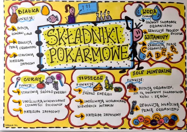 Klasa 4. Przyroda. Karta pracy. Składniki pokarmowe