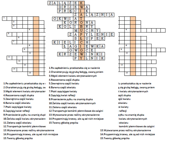 Logogryf na podsumowanie lekcji biologii o okrytonasiennych