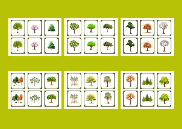 DZIEŃ DRZEWA – memory – 36 szt.