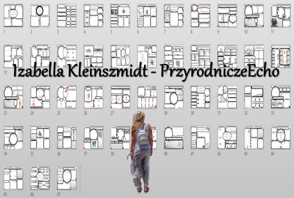 Przyrodnicze karty pracy dla klasy 4 w formacie pptx. Materiał zawiera 47 kart pracy do samodzielnego uzupełniania. Przyroda 4 - na podstawie wydawnictwa WSiP