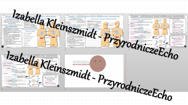 Minizestaw na temat „Budowa i funkcjonowanie układu hormonalnego” – sketchnotka + karta pracy w power point + gratisowy link do prezentacji multimedialnej niekomercyjnej wykonanej w genial.ly do indywidualnego pobrania i użycia do celów niekomercyjnych. 