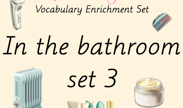 Zestaw kart obrazkowych: IN THE BATHROOM SET 3