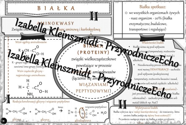 Sketchnotka - notatka „Białka” wykonana w power point do edycji. Chemia 8, „Biologia i chemia”