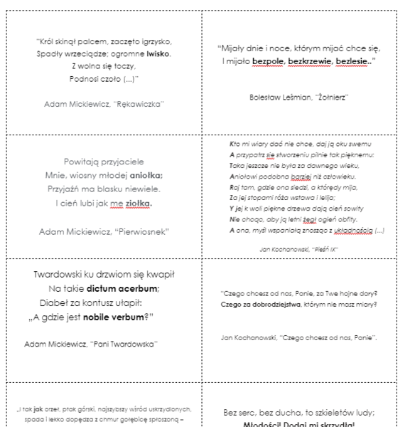 Środki stylistyczne (nazwa + przykład) karty dwustronne