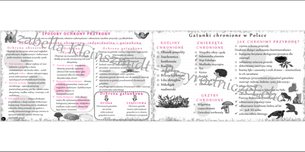 Sketchnotki „ Sposoby ochrony przyrody". Biologia klasa 8, dział IV „Człowiek i środowisko”