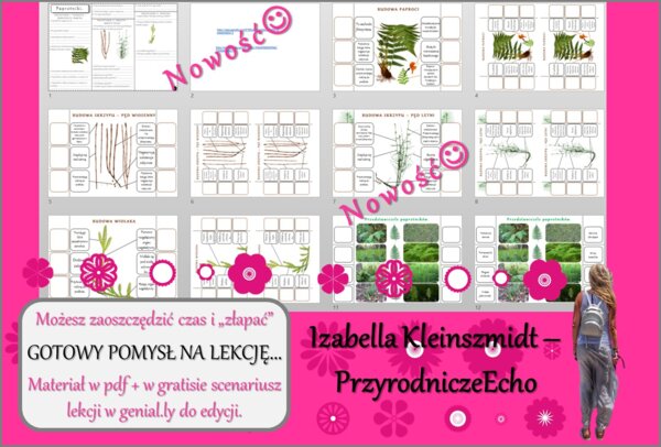 Pomysł na lekcję/karta pracy/stacje zadaniowe/materiał do lekcji do tematu „Paprotniki” w pdf. W gratisie niekomercyjny scenariusz lekcji/pomysł na lekcję w programie genial.ly do edycji. Biologia 5. Dział „Różnorodność roślin”.