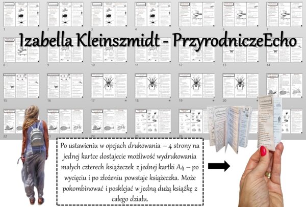 Zestaw broszurek/notatek/sketchnotek/wklejek/ściąg dla ucznia/przypomnień dla nauczyciela do całego działu w pdf. Biologia 6. Dział „Stawonogi i mięczaki”