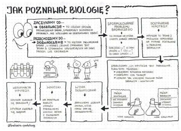 Jak poznawać biologię - klasa 5 sketchnotka