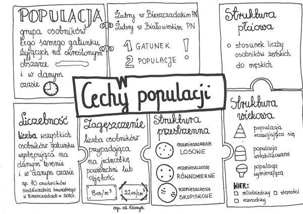 Klasa 8. Biologia. Cechy populacji