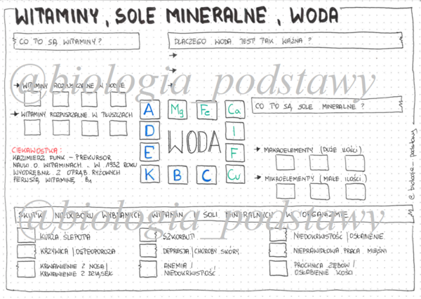 Klasa 7 - Witaminy sole mineralne woda - sketchnotka