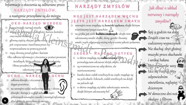 Sketchnotka „Narządy zmysłów” w power point do edycji, PRZYRODA do klasy 4 – dział IV „Odkrywamy tajemnice ciała człowieka”