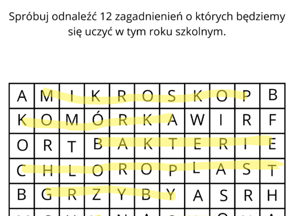 Wykreślanka - o czym będziemy uczyć się klasie 5