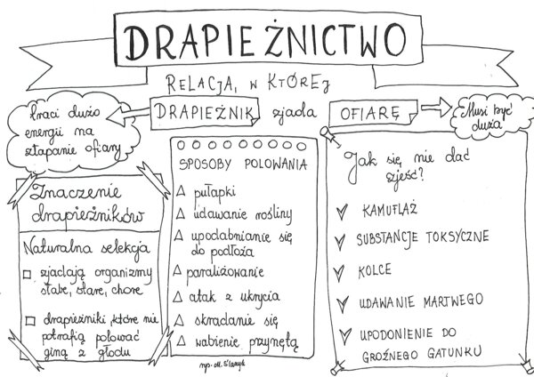 Klasa 8. Biologia. Drapieżnictwo.